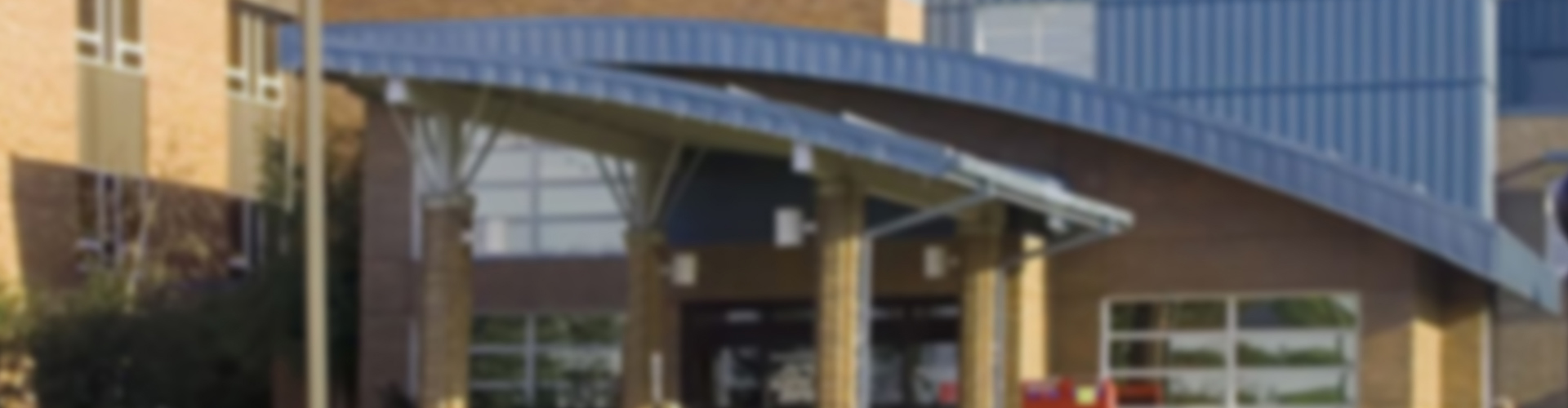 banner image